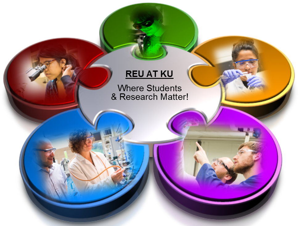 The KU Chemistry REU program offers participants many research opportunities.